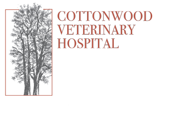 cottonwood veterinary clinic